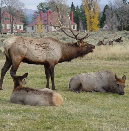 Yellowstone Hot Spot