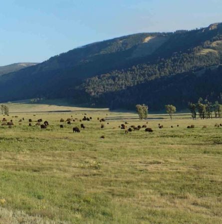Yellowstone Hot Spot