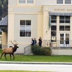 Mammoth Dining Room Exterior in the Summer