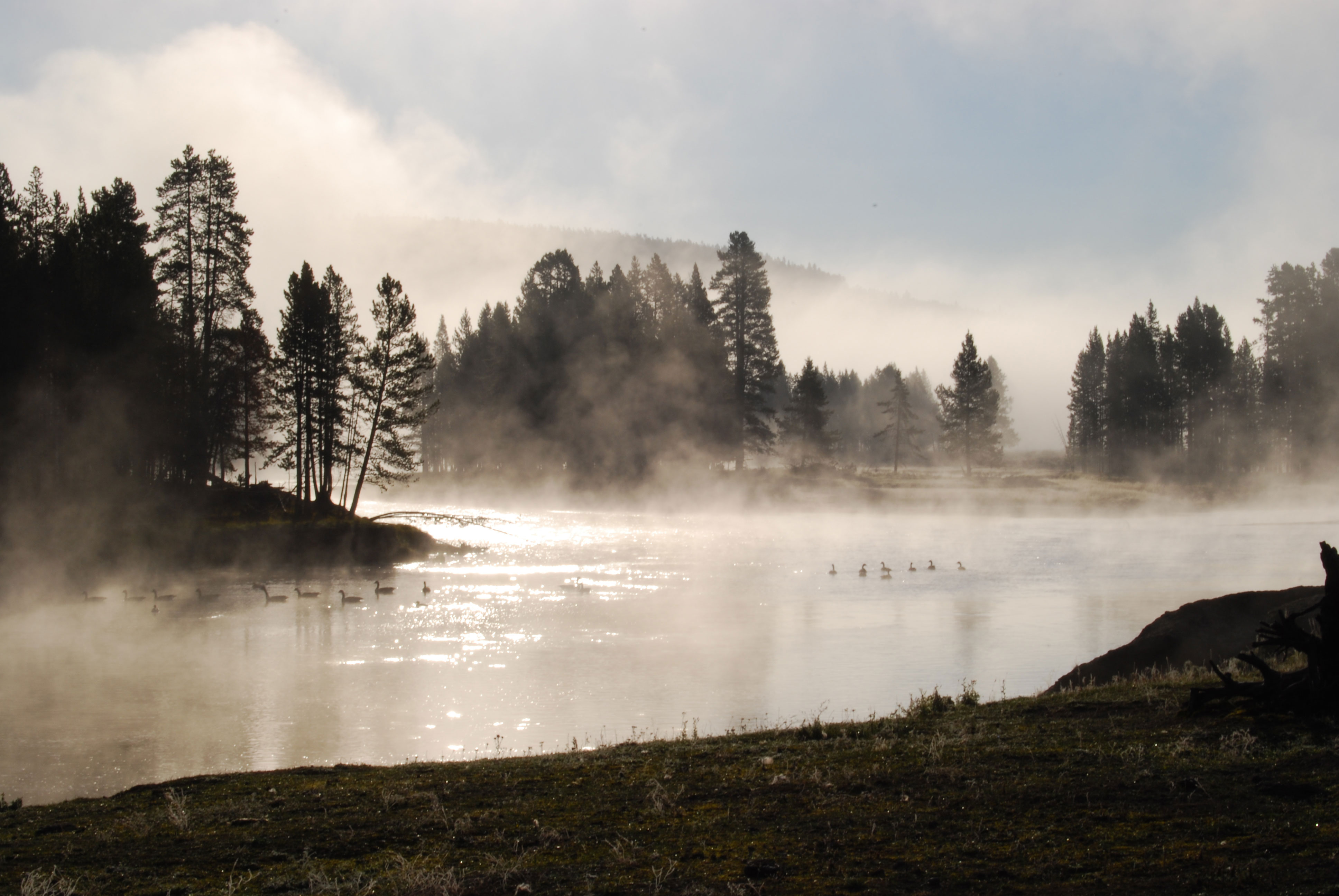 Yellowstone River Sunrise Mist