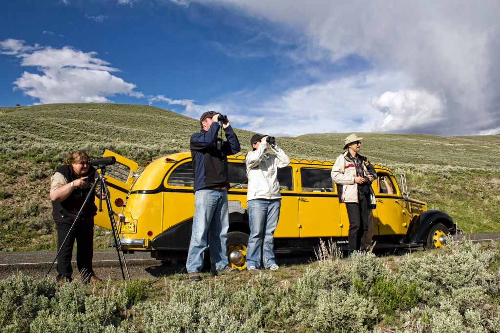 bus tour in yellowstone park