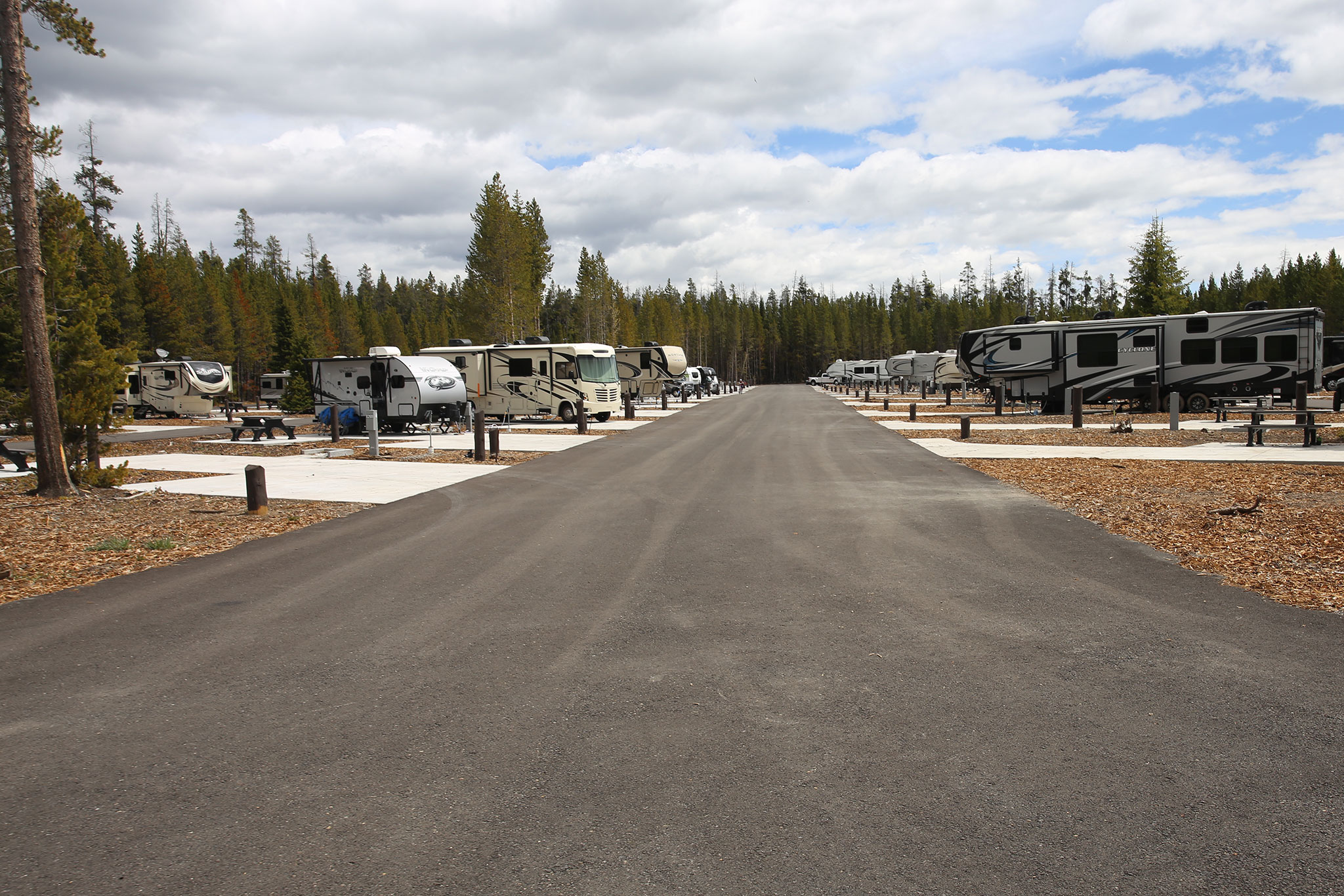 RVing in Yellowstone National Park Revs Up