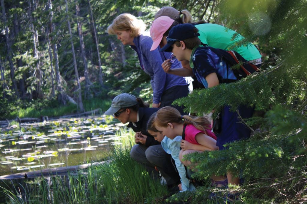 Yellowstone For Families Package