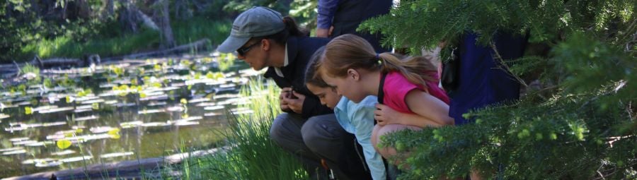 Family looking into pond