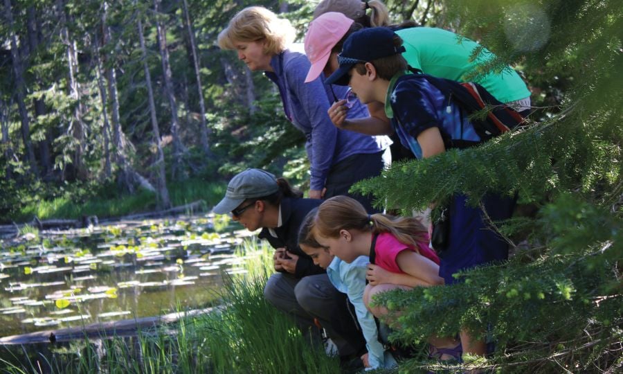 Family looking into pond