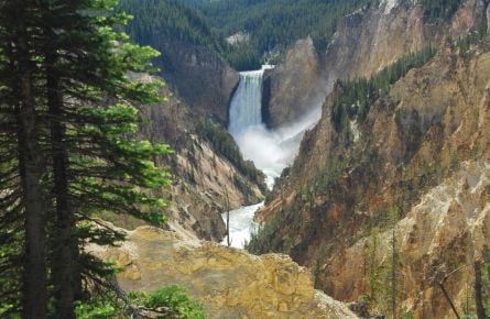 Lower Falls of the Grand Canyon of the Yellowstone