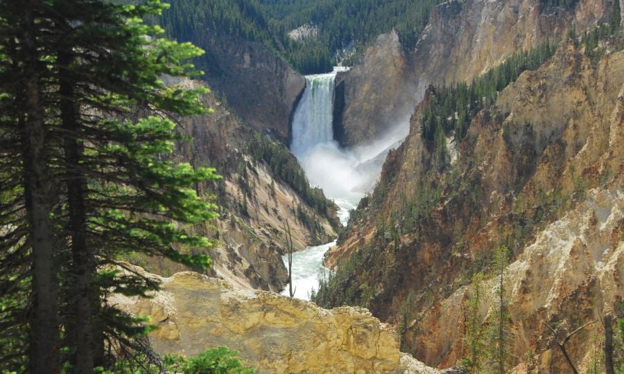 Lower Falls of the Grand Canyon of the Yellowstone