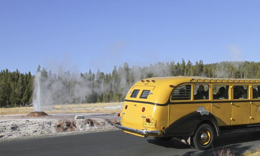Historic Yellow Bus driving by geyser