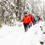 Exploring the snowy boardwalks at Norris Geyser Basin