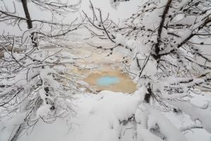 Porcelain Pools through the trees