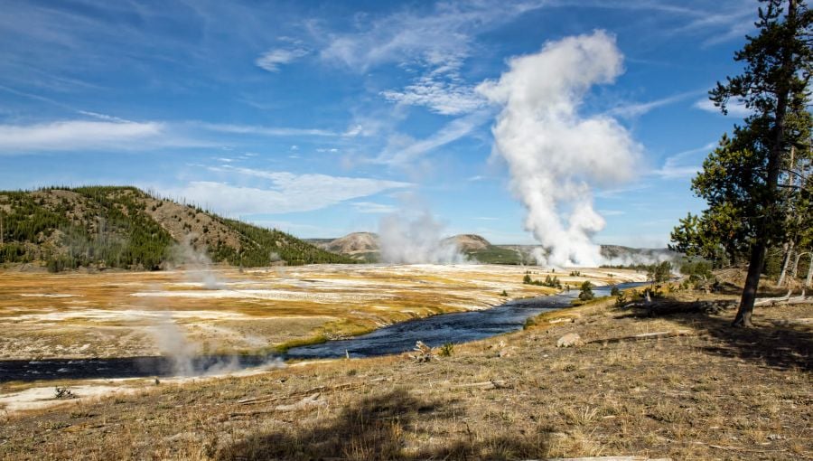 Old Faithful image from photo safari