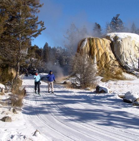 Two people cross-country skiing on the trail