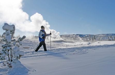 Man cross-country skiing at Old Faithful