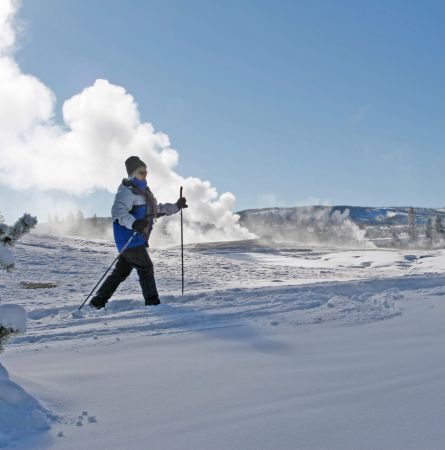 Man cross-country skiing at Old Faithful