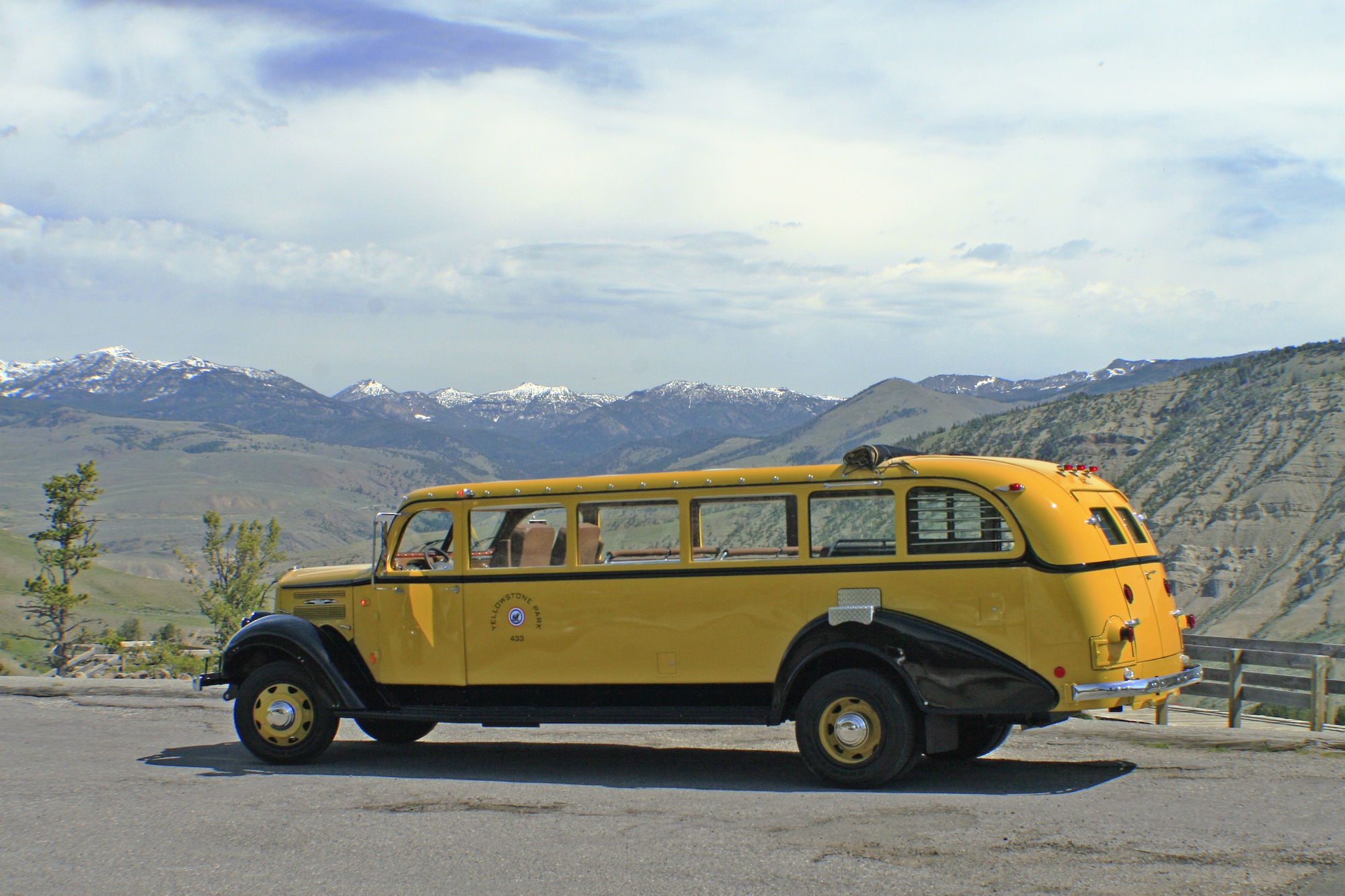 bus tours of yellowstone national park