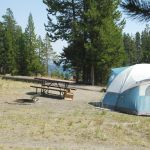 Campsite at Bridge Bay Campground