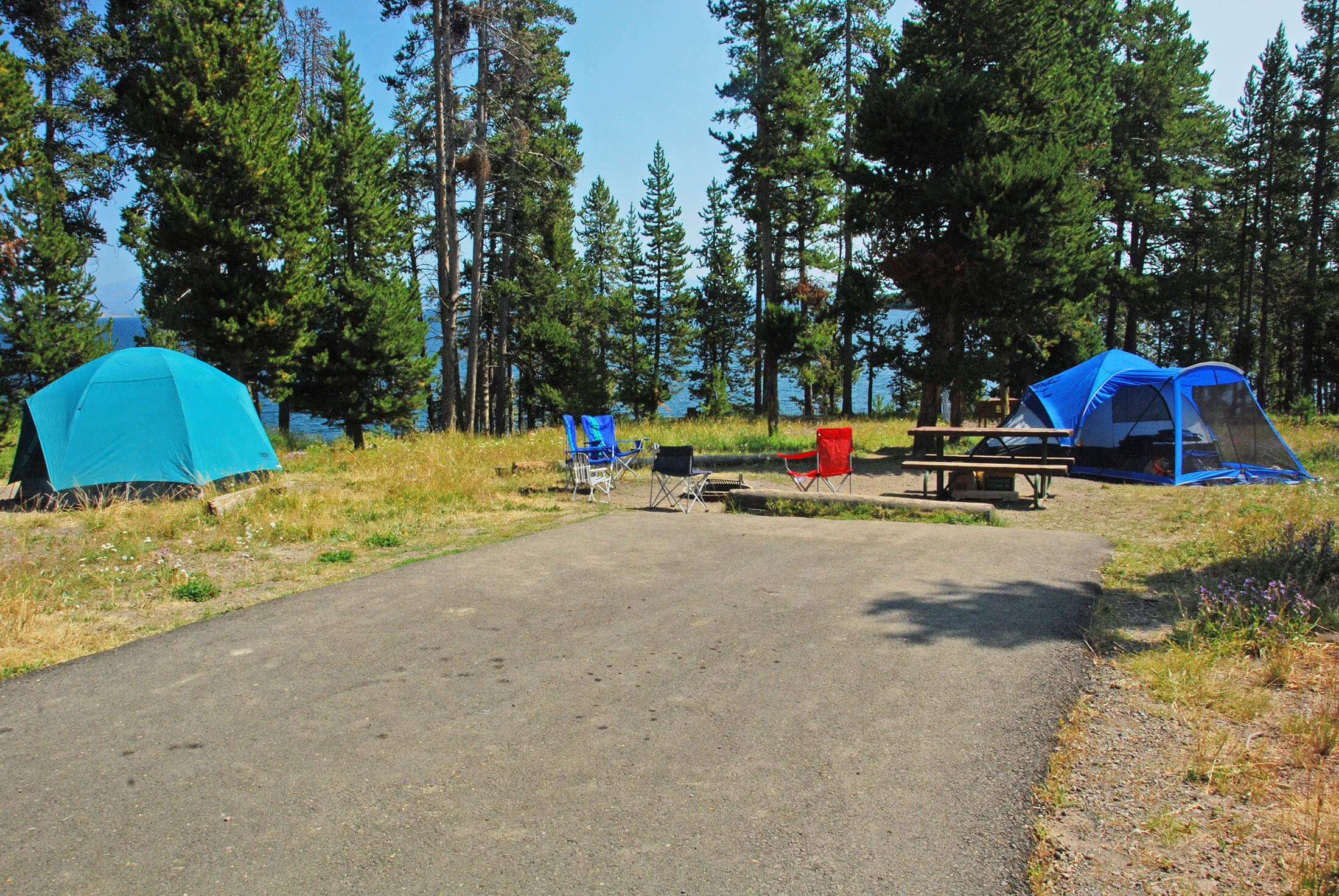 Bridge sales bay campground