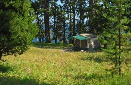 Bridge Bay Campground