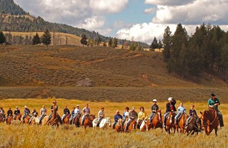 Trail ride through the field