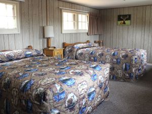 Lake Lodge - Pioneer Cabins - Two Beds