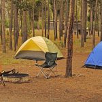 Tents at Madison Campground