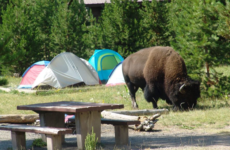 DONDE DORMIR EN YELLOWSTONE