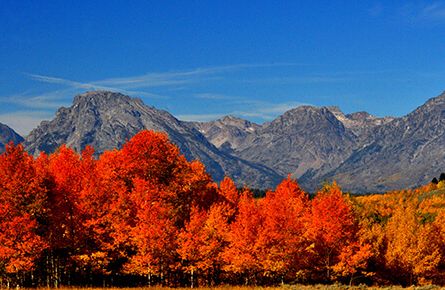 Yellowstone opening dates