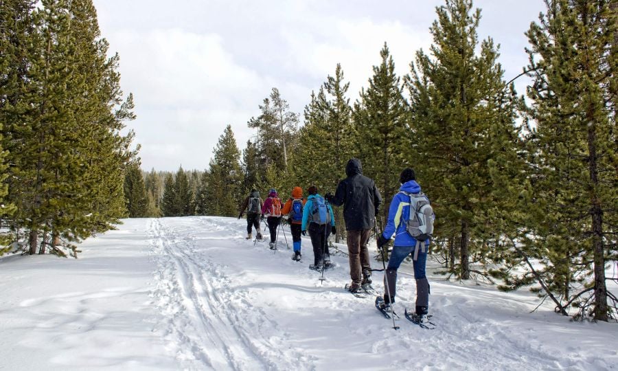 Snowshoe Tour