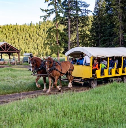 Yellowstone’s Top Wild West Adventures