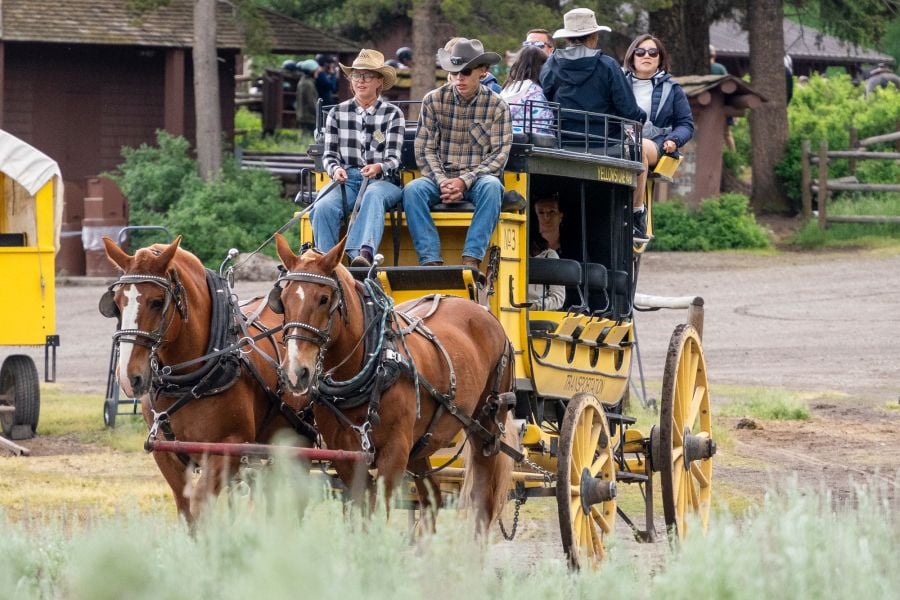 Stagecoach heading to cookout