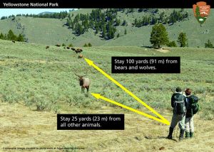 Wildlife danger warning guideline