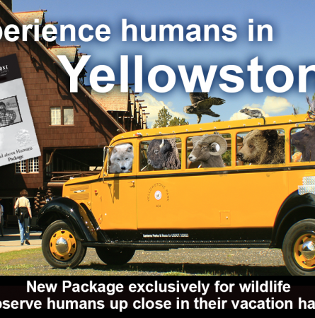 Yellowstone Hot Spot