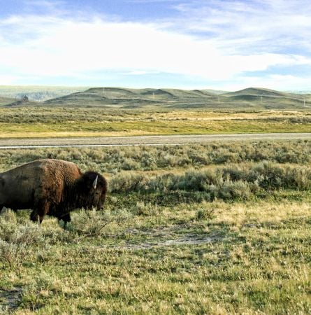 Yellowstone Hot Spot