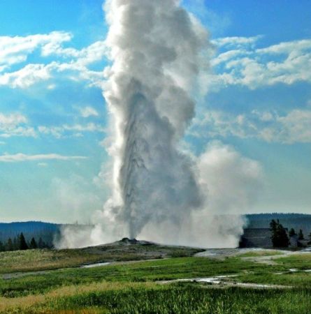 Top Yellowstone Stories of 2016