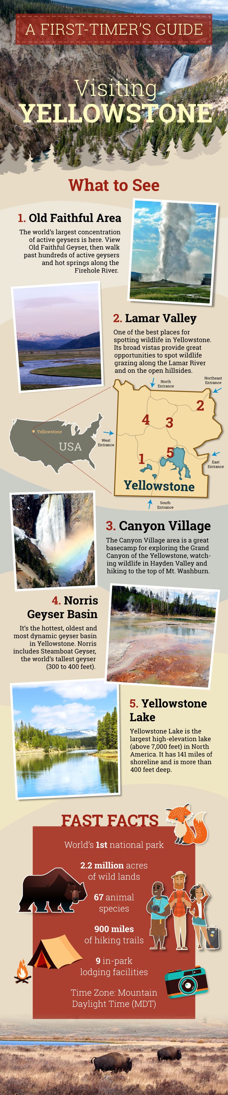 What to See in Yellowstone Infographic