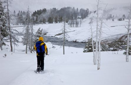 Snowshoer in the park