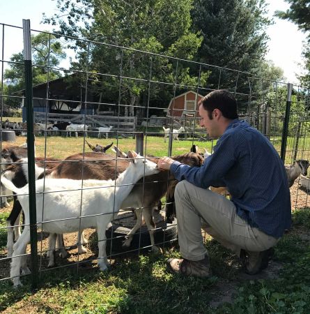 Featured Farm: Amaltheia Organic Dairy
