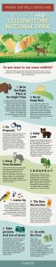 Where the Wild Things Are Infographic