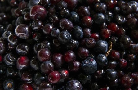 Huckleberries