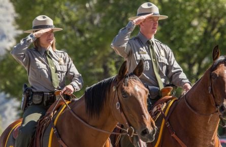 Rangers on horse saluting