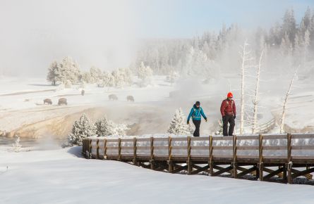 Exploring the boardwalks near Castle Geyser