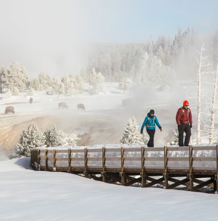 Get Outside: 4 Winter Sports and Adventures at Yellowstone