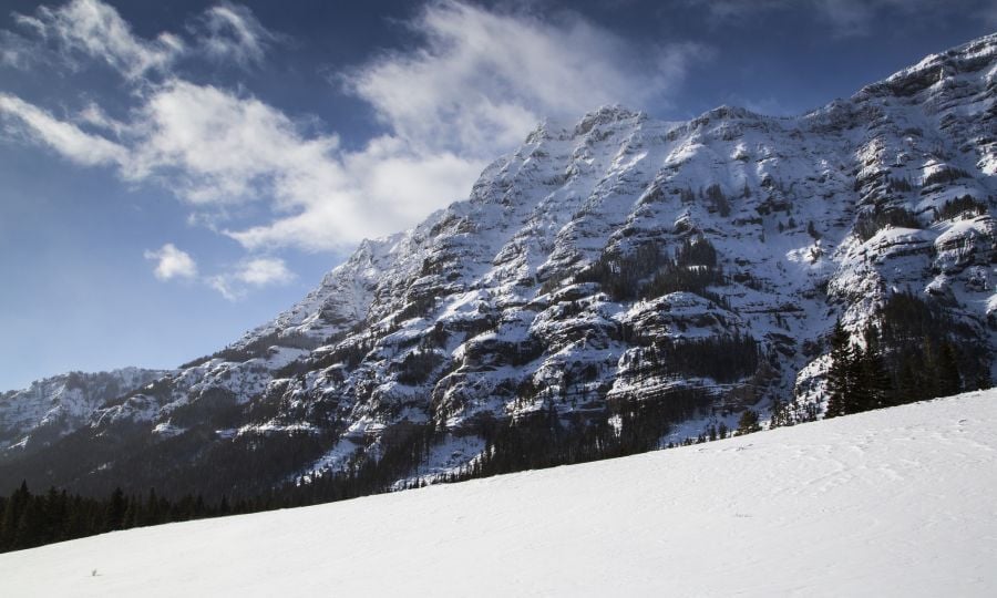 Animals tracks & Barronette Peak