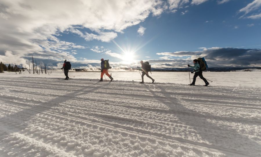 Backcountry campers ski along the road in Lower Geyser Basin at sunset