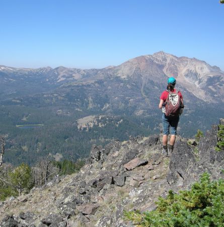 Yellowstone Social