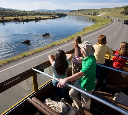 adventure tours of yellowstone