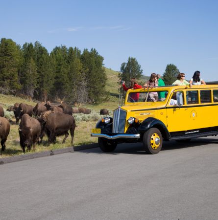 Yellowstone Hot Spot