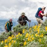 Three people hiking in Lamar Valley with yellow flowers