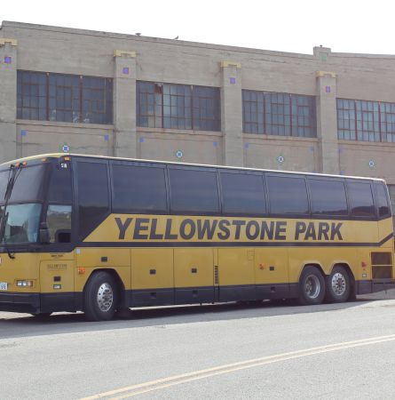 What to Expect When You First Arrive In Yellowstone