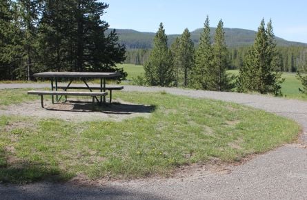 Picnic table overlooking Gibbon River at Norris Campground